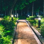 Landscape Lighting